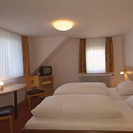 Отель Haus Am Berg Трир